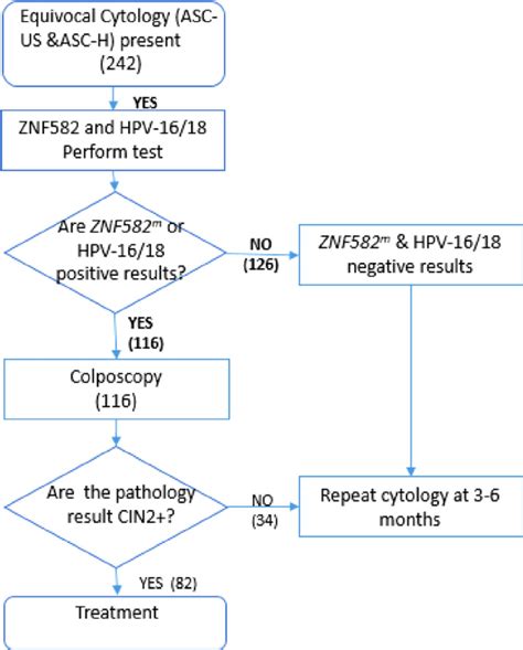 what is coccobacilli in pap smear|Management of Abnormal Cervical/Vaginal Pap Smears .